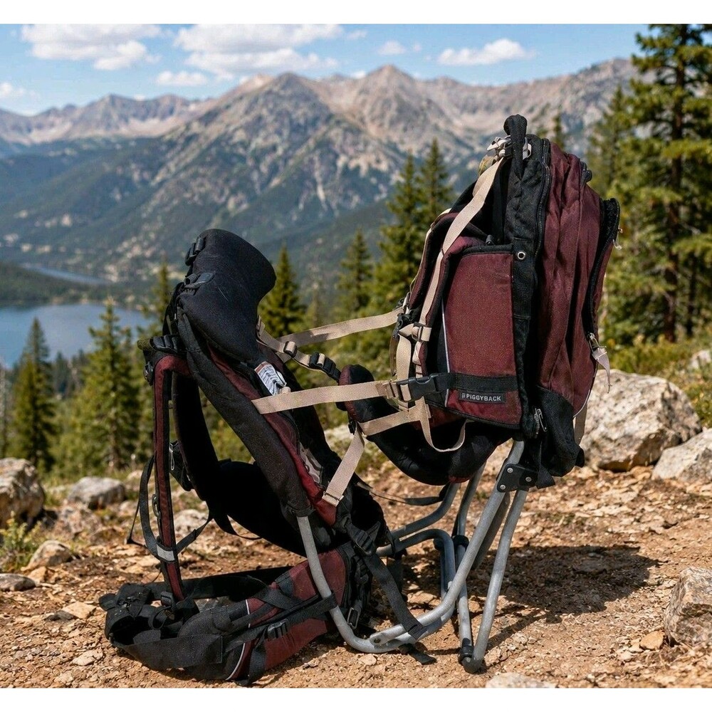 REI Piggyback Child Carrier Backpack Hiking External Frame Burgundy Black